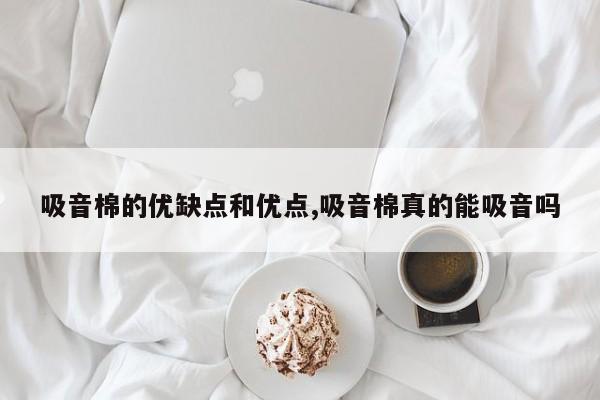 吸音棉的优缺点和优点,吸音棉真的能吸音吗